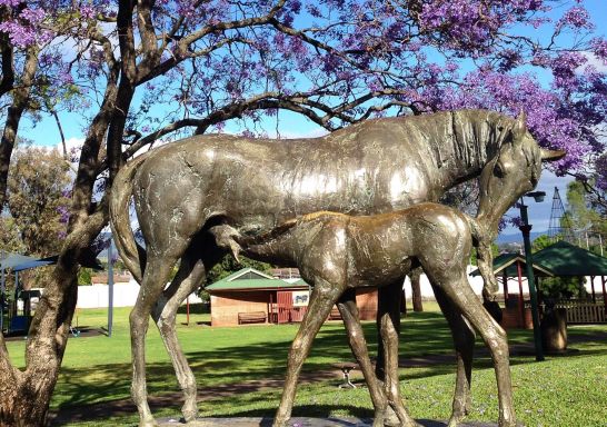 Scone Visitor Information and Horse Centre in Scone, Upper Hunter